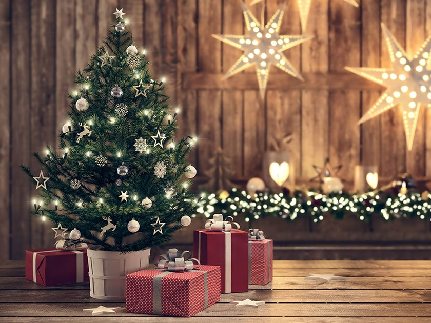 Bien choisir son sapin de Noel : 5 conseils utiles